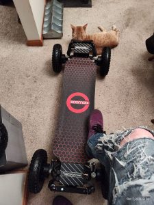 Ecomobl Electric skateboard