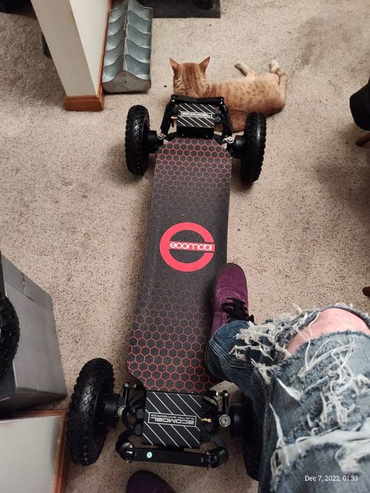 The Complex Legal Status of Electric Skateboards A StatebyState