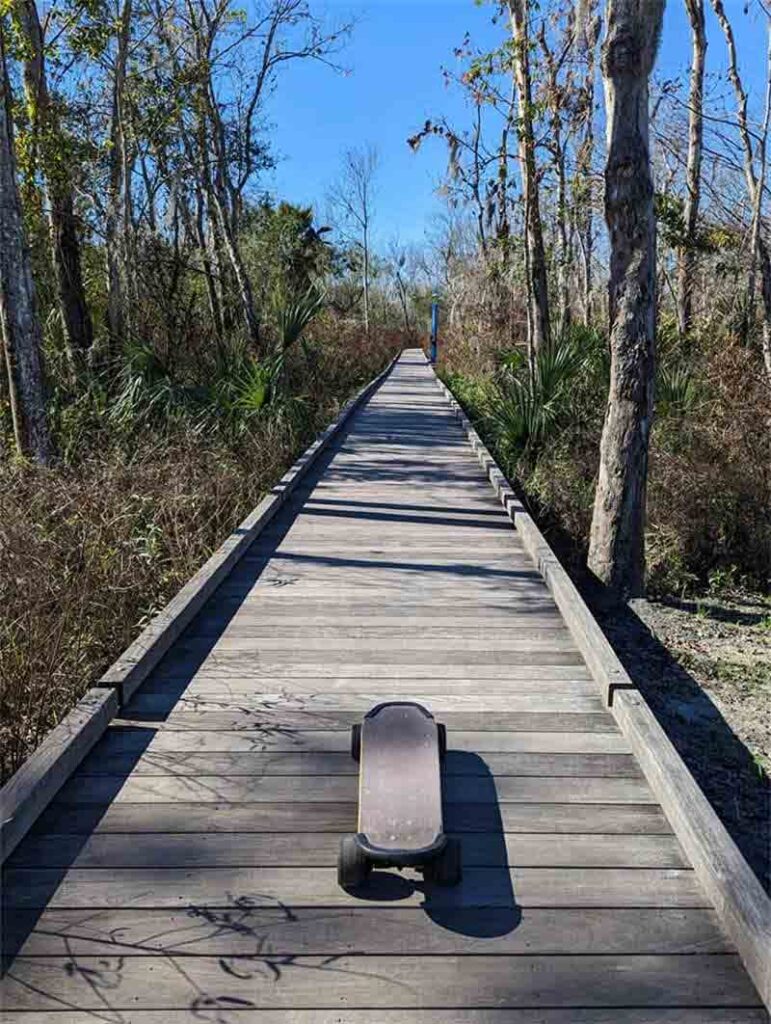 offroad skateboard,longboards electric