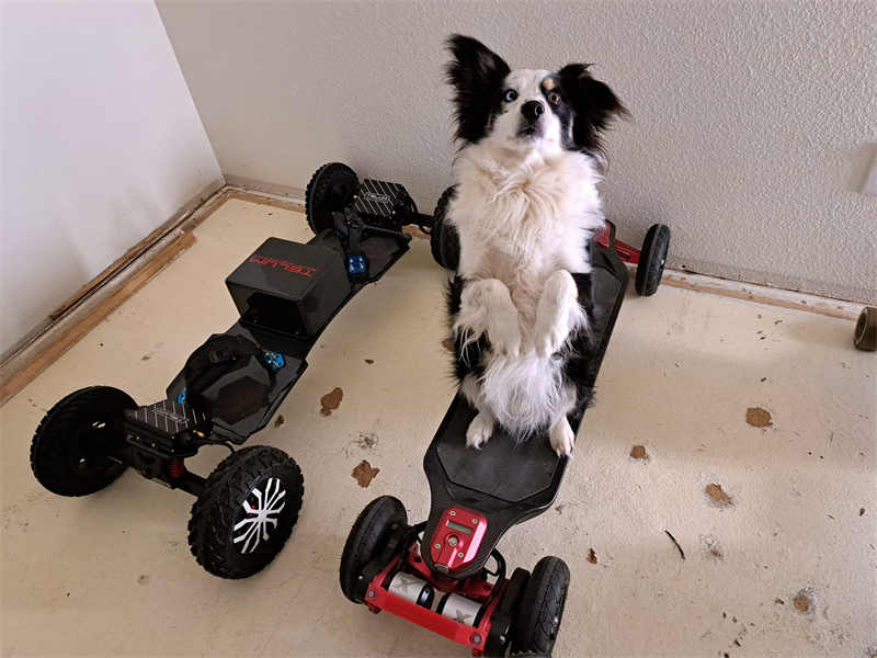 all-terrain skateboard reviews in USA market