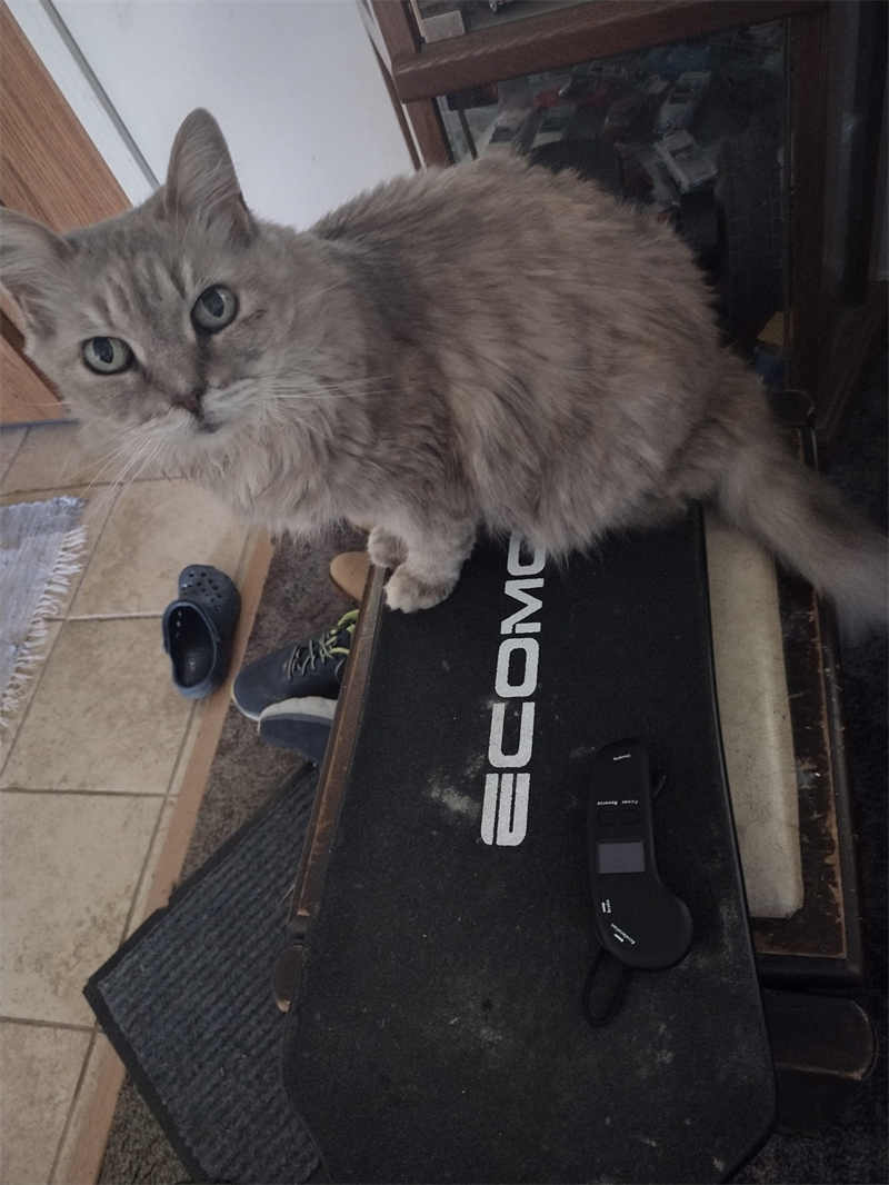 USA electric skateboard safety guide Electric Skateboards USA